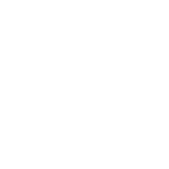 New York Times logo